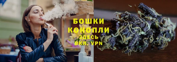 PSILOCYBIN Козельск