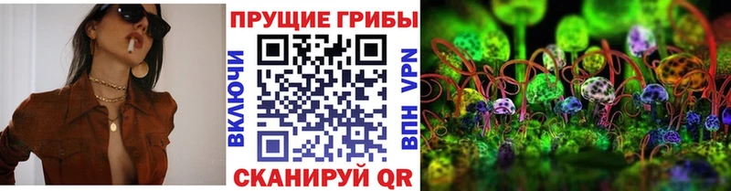 Псилоцибиновые грибы мухоморы Шатура