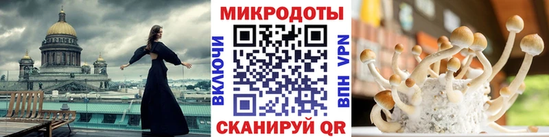 Купить  Шатура  Галлюциногенные грибы Magic Shrooms 