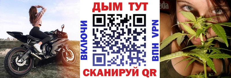 Купить  Шатура  Марихуана семена 