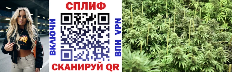 Канабис THC 21% Шатура